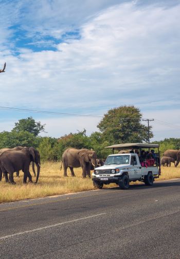 Golden Trails of Southern Africa