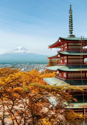 Best of Japan & South Korea