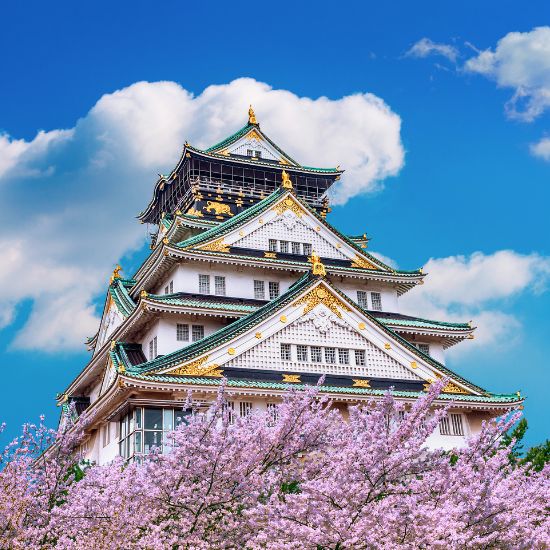 Magic of Spring in Japan