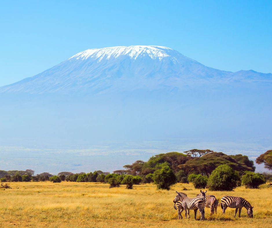 Tanzania & Kenya Wildlife Adventure