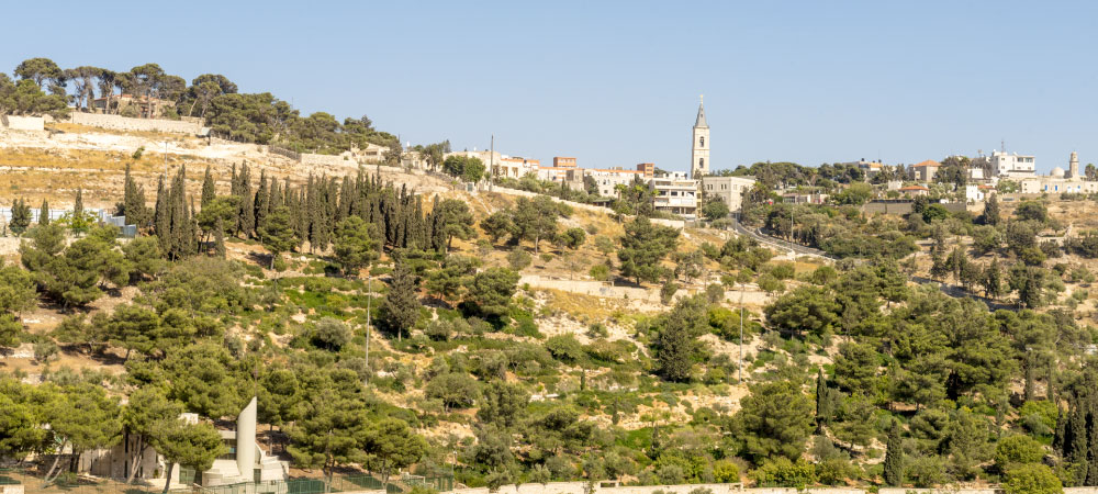Religious Tours Bethlehem Olive