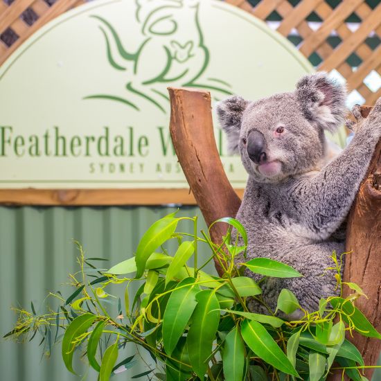 Featherdale Wildlife Park
