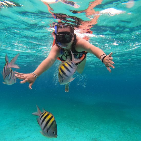 Snorkeling Mexico