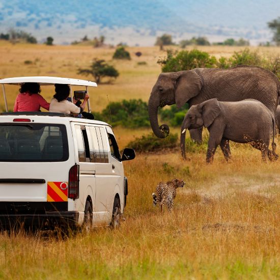 Masai Mara National Park