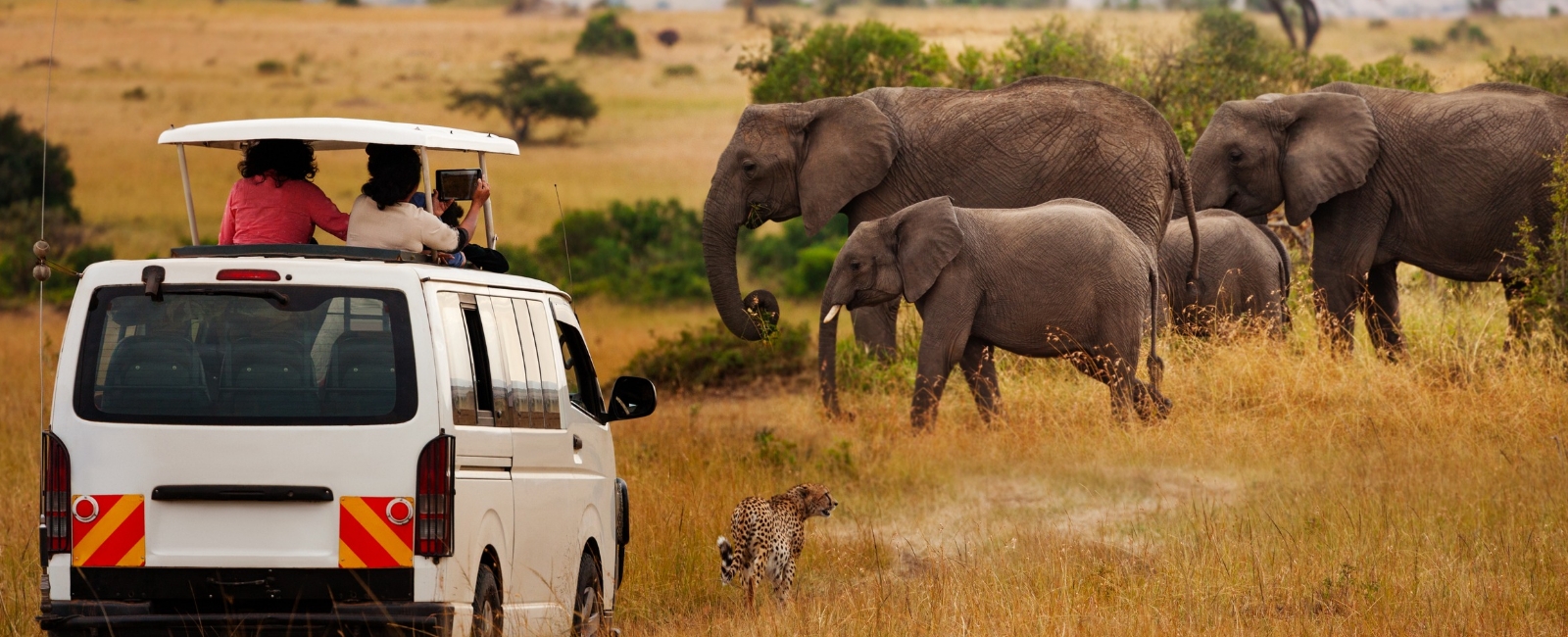 Golden Trails of Southern Africa Tours Packages